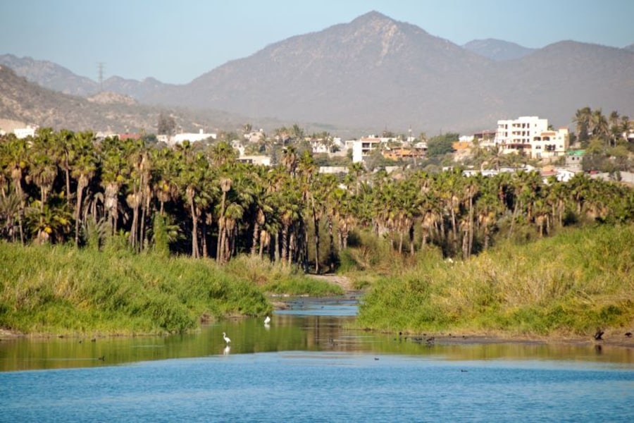 All Inclusive Hotels in San Jose del Cabo