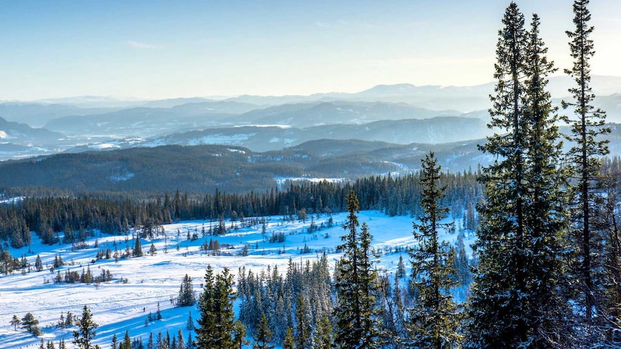 Northern Lights in and around Trondheim