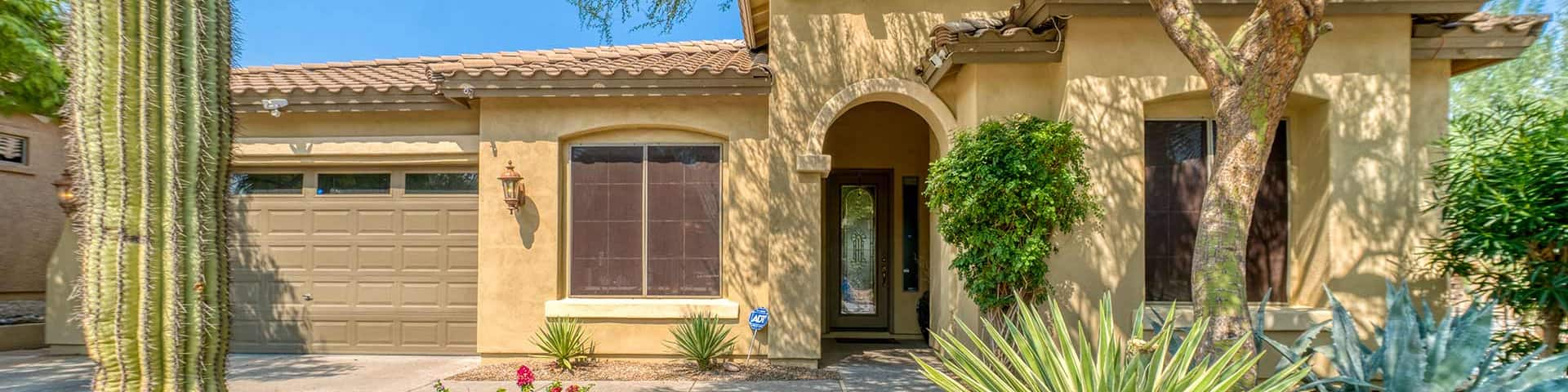 Glowbirding in a sunny location