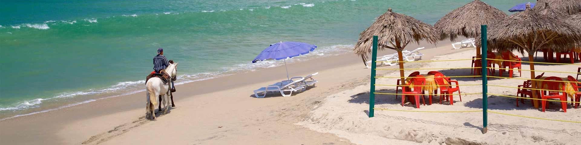 Snowbird rentals in Texas