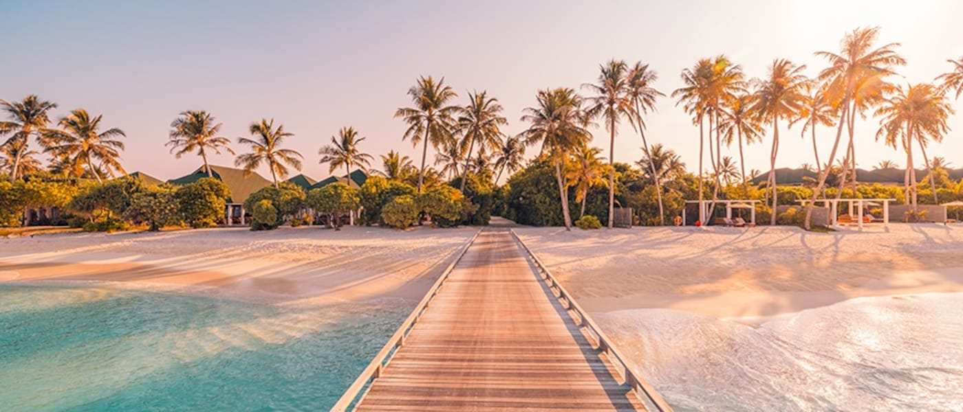 Palm trees, a sandy beach and blue waters viewed from a boardwalk path.