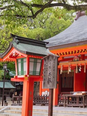 Fukuoka Travel Package