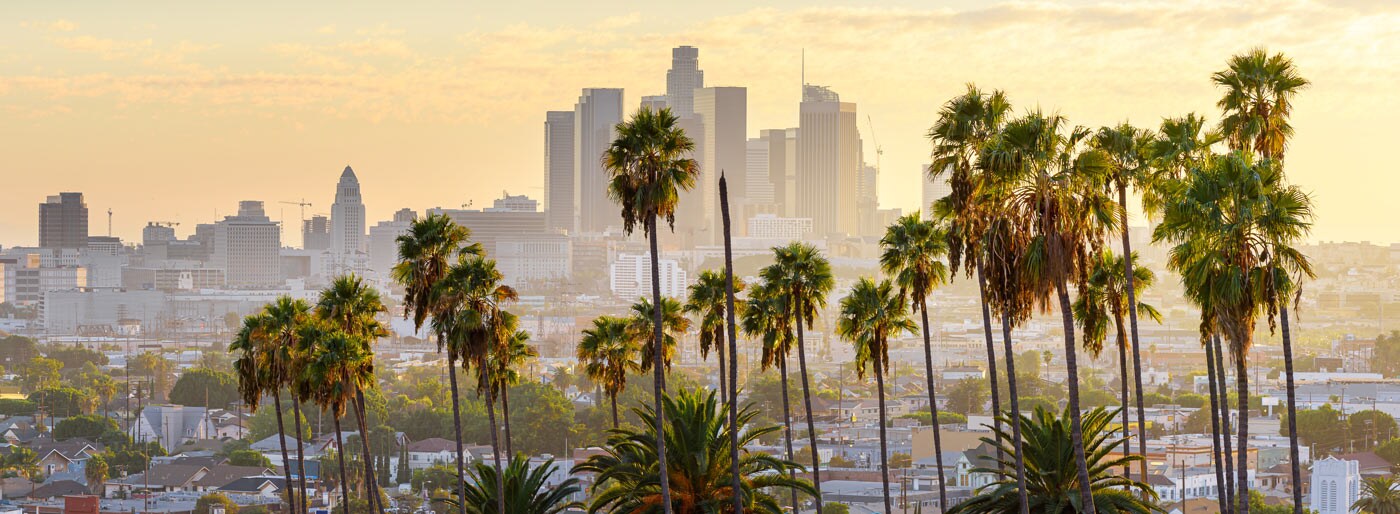 Scenic downtown Los Angeles at sunrise with a view through palm trees.