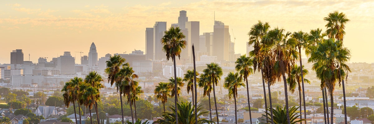 Scenic downtown Los Angeles at sunrise with a view through palm trees.