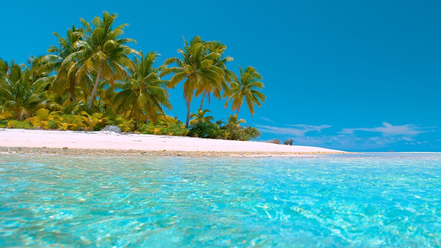 Caribbean