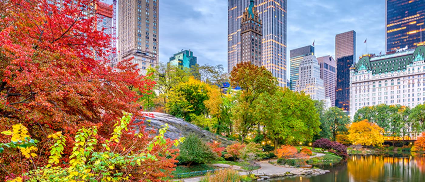 Overlooking a lake, surrounded by trees changing colors in the fall, with a city backdrop.