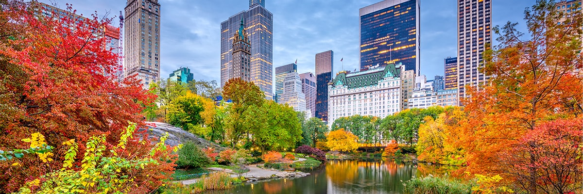 Overlooking a lake, surrounded by trees changing colors in the fall, with a city backdrop.