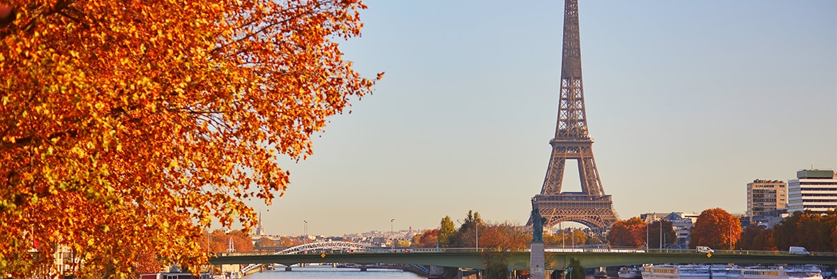 Eiffel tower and autumn leaves