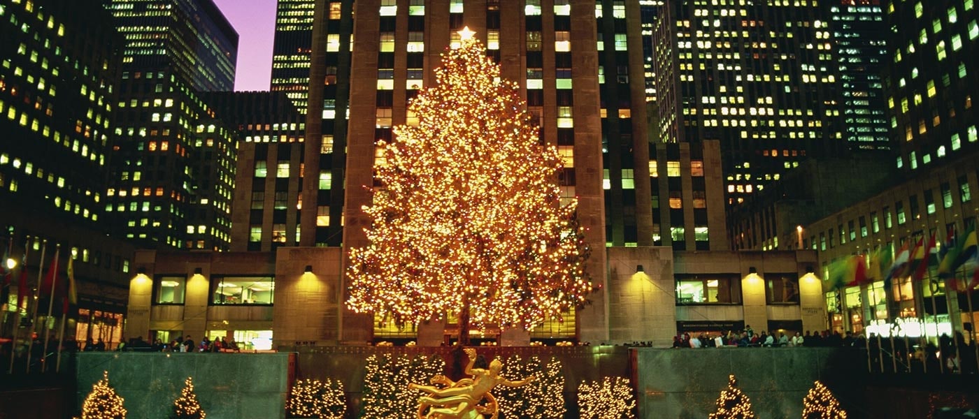 A Christmas Tree in NYC