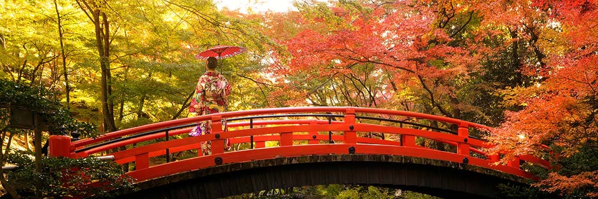 Asia in Autumn Leaves