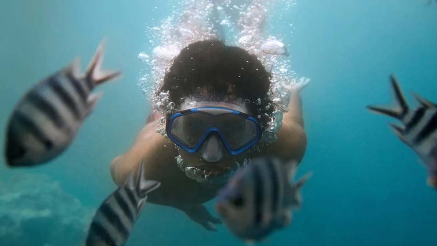 Book things to do - Expedia