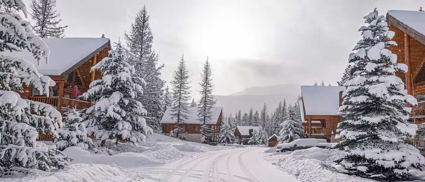 Winter Sports 2026