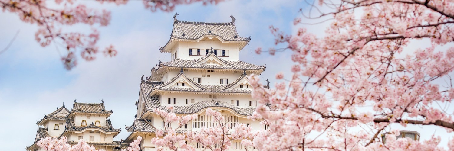 Asian temple behind cherry blossoms