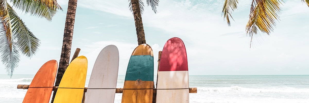 A row of surfboards looking out towards an ocean paradise.