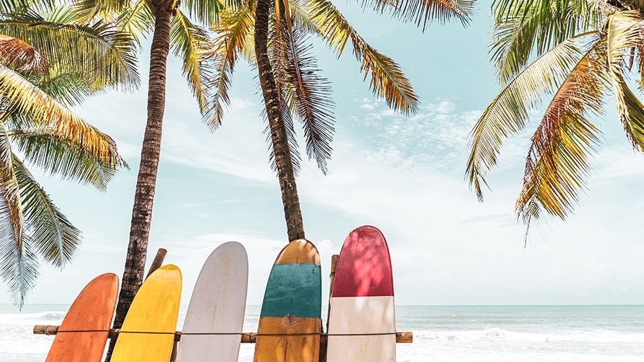 A row of surfboards looking out towards an ocean paradise.