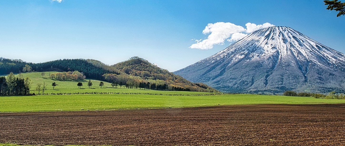 Hero image: a background with a field and a hill in the background