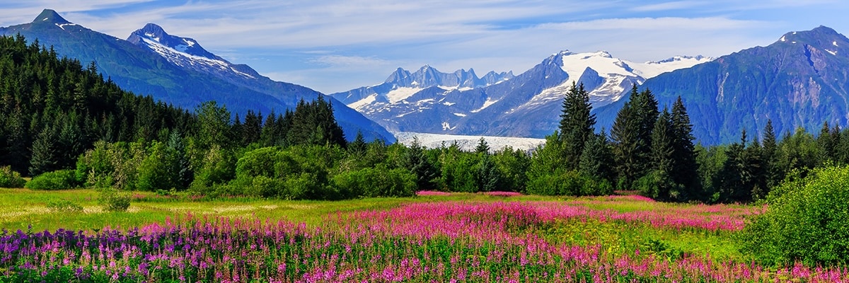 Mendenhall Glacier near Juneau Alaska.
