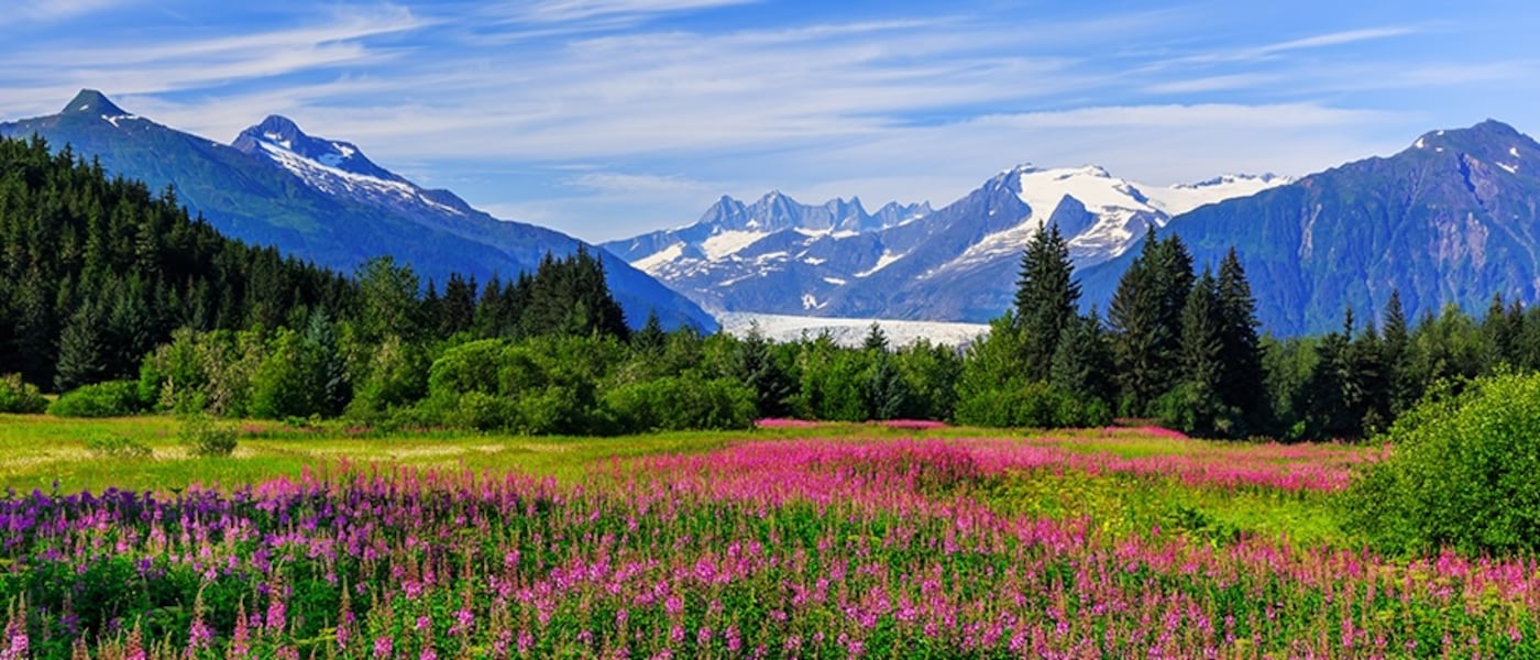 Mendenhall Glacier near Juneau Alaska.