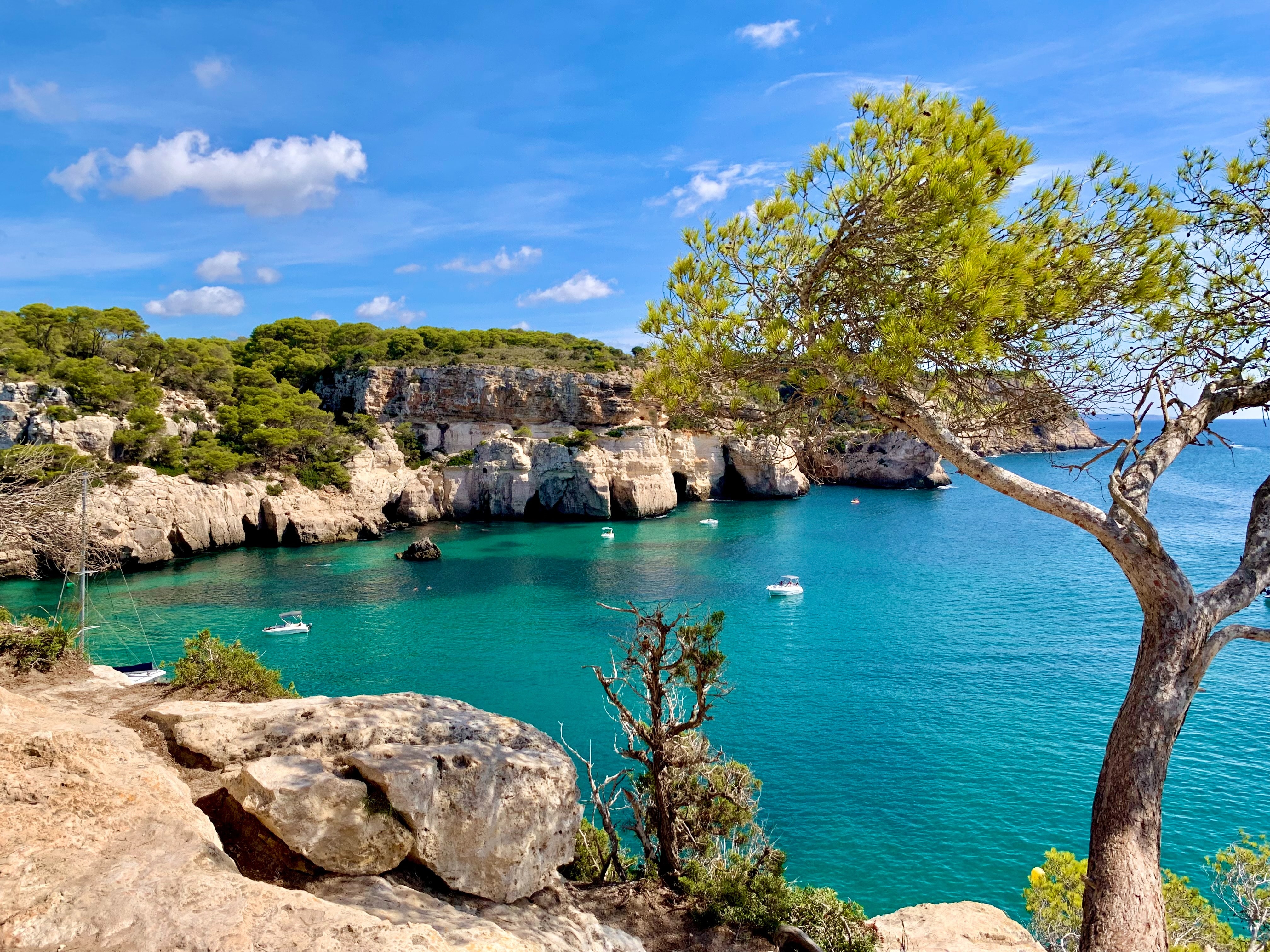 Une crique turquoise pittoresque entourée de falaises calcaires et de pins en Méditerranée, avec de petits bateaux flottant sur des eaux cristallines sous un ciel bleu ensoleillé.