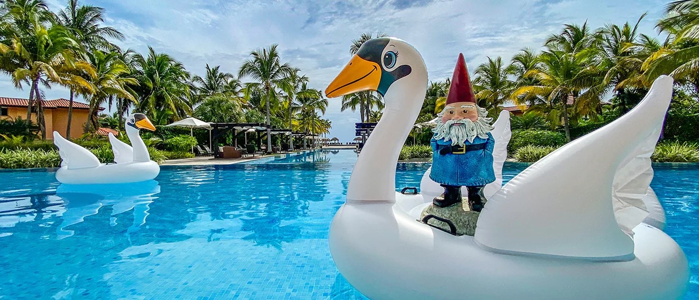 Inflatable white swan floats in a hotel pool, one carrying a garden gnome, palm trees and cabanas beyond.