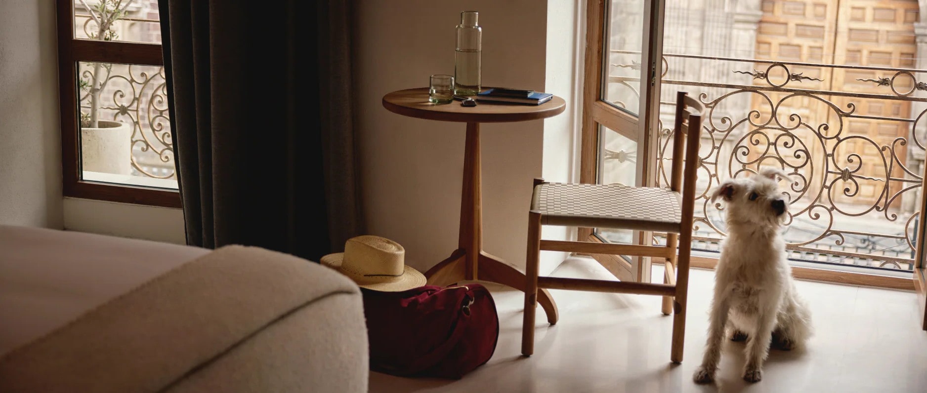 Discover pet-friendly hotels.