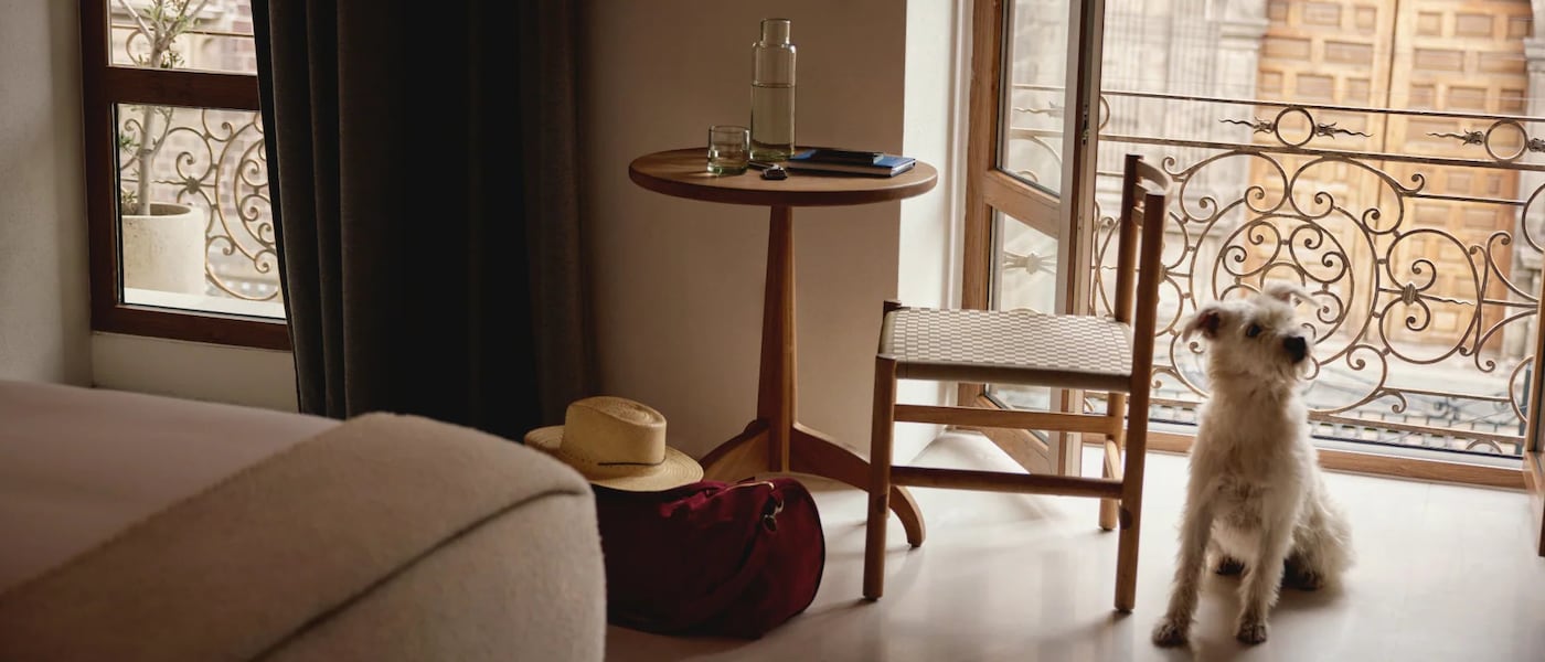 Discover pet-friendly hotels.